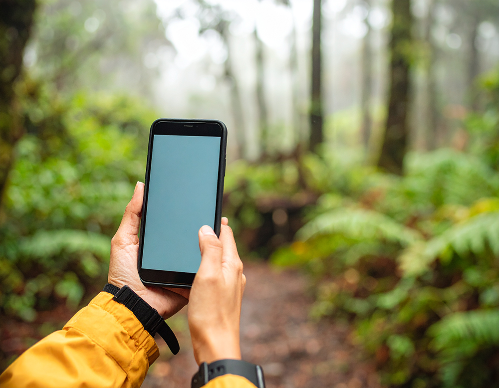 霧の森の中で、スマートフォンを手に持つ人物。