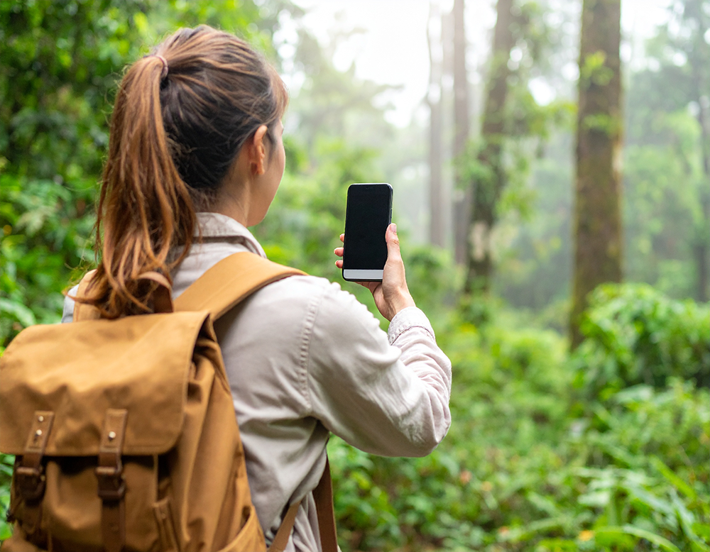 霧の森の中で、スマートフォンを手に持つ女性の後ろ姿。